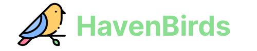 havenbirds logo